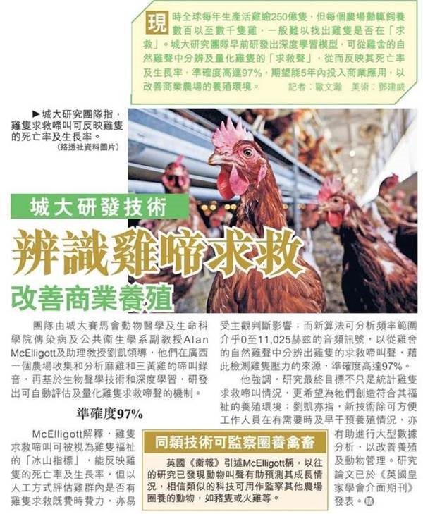 20220712-Sky Post-城大研發技術辨識雞啼求救 改善商業養殖